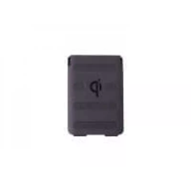 Batteria di ricambio Datalogic, 4.100 mAh, compatibile con: Memor 11, Memor 10 (94ACC0370)