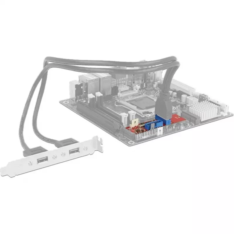 Delock Convertitore M.2 Key B+M Connettore maschio > 2 x USB 3.0 Pin header - Adattatore USB - Scheda M.2 - USB 3.0 (interno) x 2 (62843)