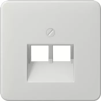 Jung CD569-2UALG grigio
