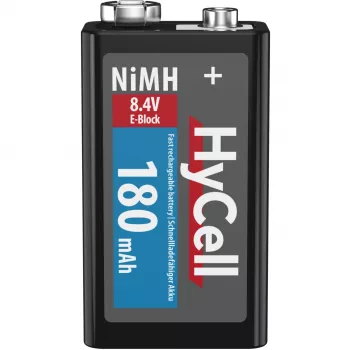 Ansmann 5035322 batteria