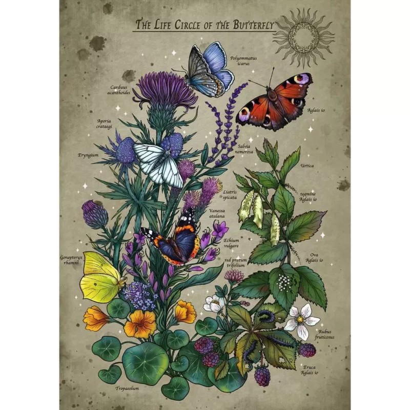 Puzzle Ravensburger Circle of Life Butterfly 1000 pezzi