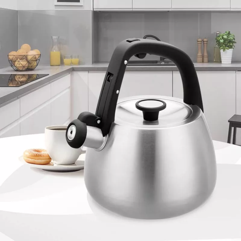 Bollitore Maestro MR-1318 da 2,5 l, argento, nero