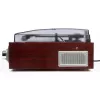 Camry Premium CR1113 giradischi a cinghia con radio, nero