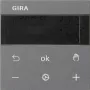 Gira RTR display antracite 539328 (539328)