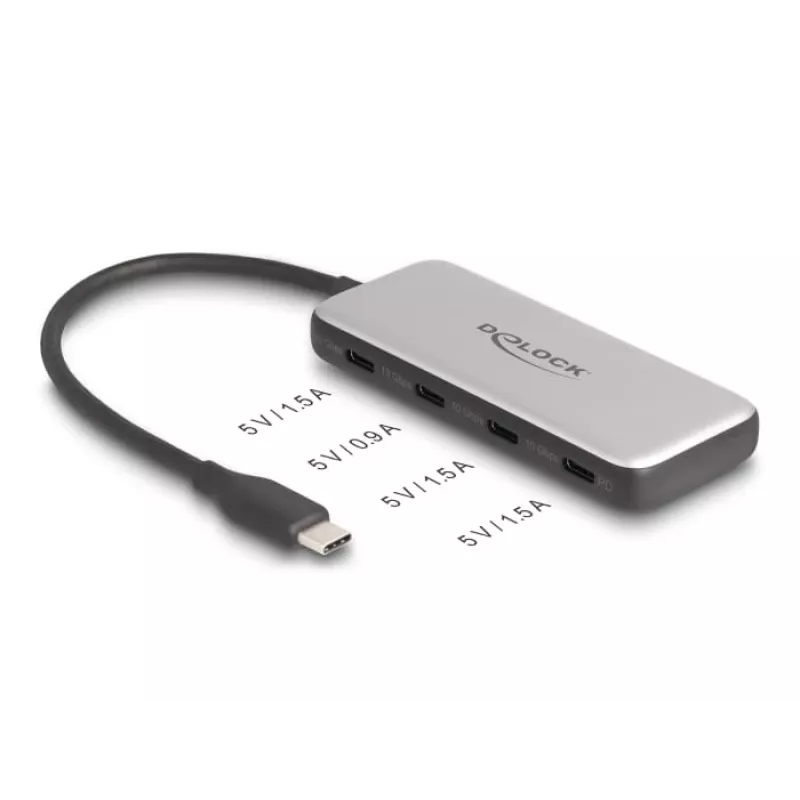DeLOCK 64261 hub USB 3.2 Gen 1 Type-C 10000 Mbit/s nero grigio
