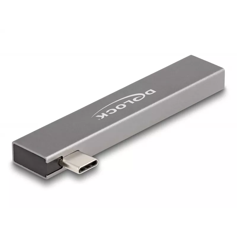 Hub USB DeLOCK 3 porte sottile USB Type-C 10 Gbps 2 x USB 2.0