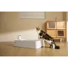 Lettiera autopulente per gatti PETKIT T7-EU, bianco
