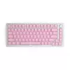 Set base Glorious PC Gaming Race GMMK ABS Doubleshot V2 UK - rosa (GLO-KC-ABS-UKKIT-P)