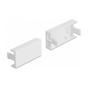 Modulo piastra di copertura DeLOCK Easy 45 81301