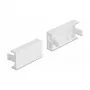 Modulo piastra di copertura DeLOCK Easy 45 81301
