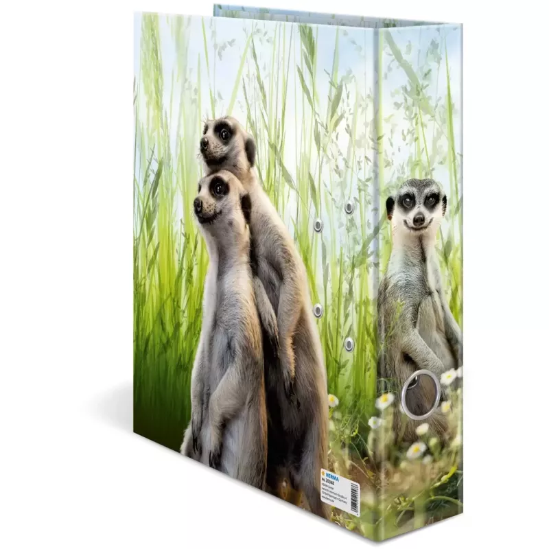 Raccoglitore ad anelli HERMA 20048 A4 multicolore anello a D cartone