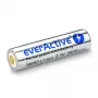 Batteria everActive 18650 3.7V Li-ion 2600mAh micro USB con protezione BOX