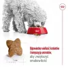 ROYAL CANIN Adult Mini S - crocchette per cani - 2 kg