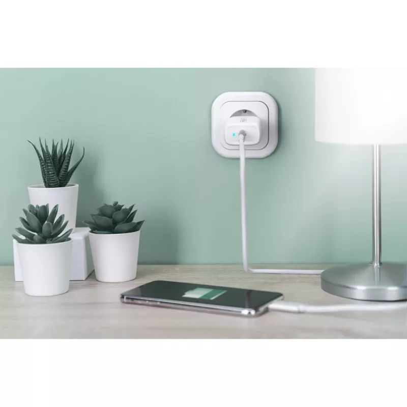 Digitus - Alimentatore - 20 Watt - 3 A - PD 3.0 (USB-C) - Bianco (DA-10196)