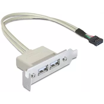 Staffa slot USB 2.0 DeLOCK 0,5 m