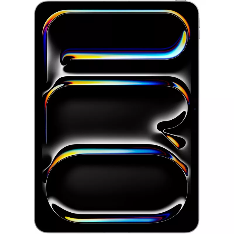 iPad Pro 11 pollici Wi-Fi + Cellular 2 TB – argento