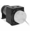 Alphacool Core 100 Aurora ARGB serbatoio 15393, D5/VPP, acetale/acrilico, nero