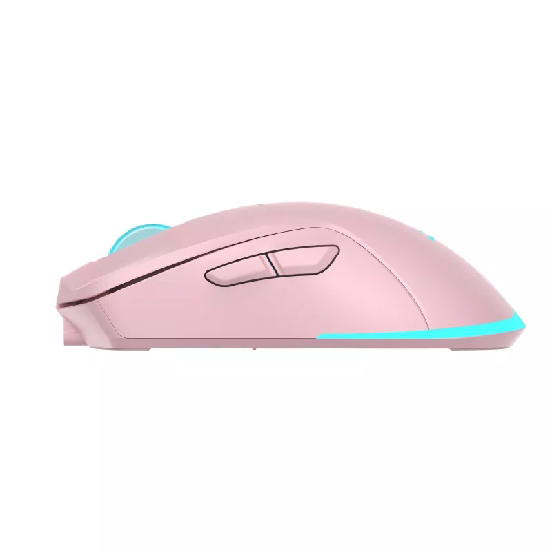 Mouse Baracuda BGM-124 Turtle rosa TURTLE-P
