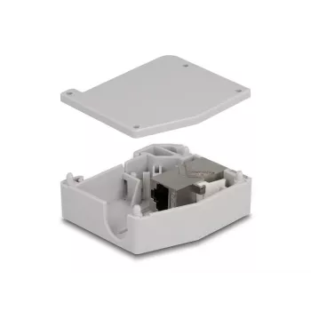 DeLOCK adattatore per guida DIN connettore femmina RJ45 a connettore femmina RJ45 Cat.6A grigio