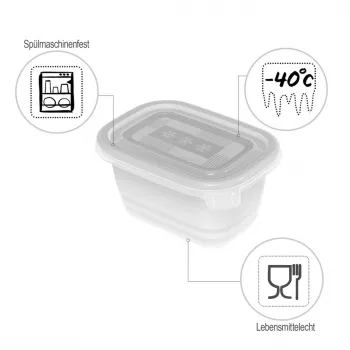ROTHO Freeze - contenitore per congelatore - 6x250 ml