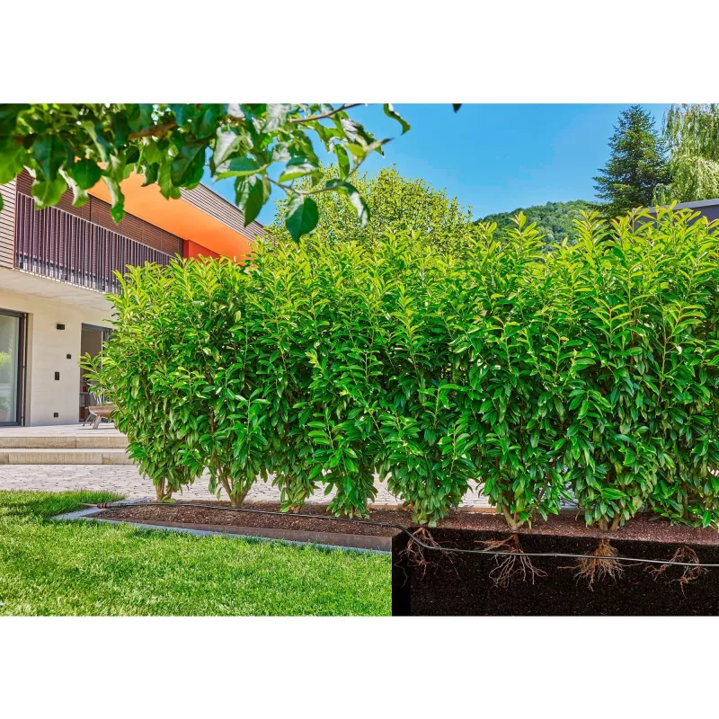 Gardena Micro-Drip-System linea gocciolante, 1,6 l/h, 50 m (13504-20)
