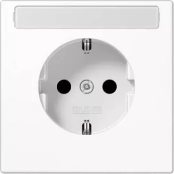 Jung 1-fach inserto presa con contatto di terra bianco LS1520N (LS1520N)