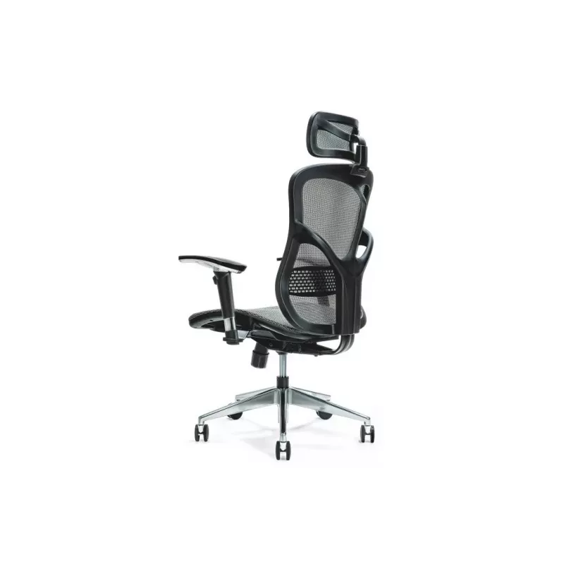 Sedia da ufficio ergonomica ERGO 500 grigio