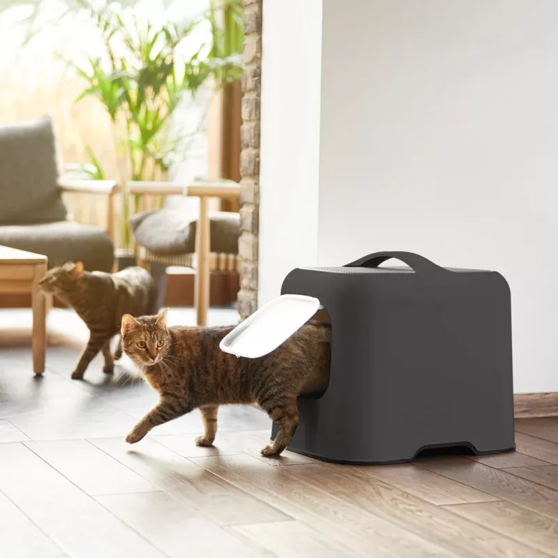 Rotho Biala lettiera per gatti, plastica, 51 x 39,5 x 44,3 cm, antracite