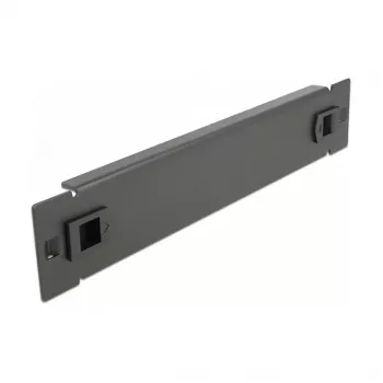 Pannello cieco DeLOCK armadio di rete 10 pollici 66576