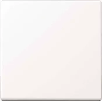 Placca a parete / coprifrontale Jung A590WWM, senza viti, plastica, singolo