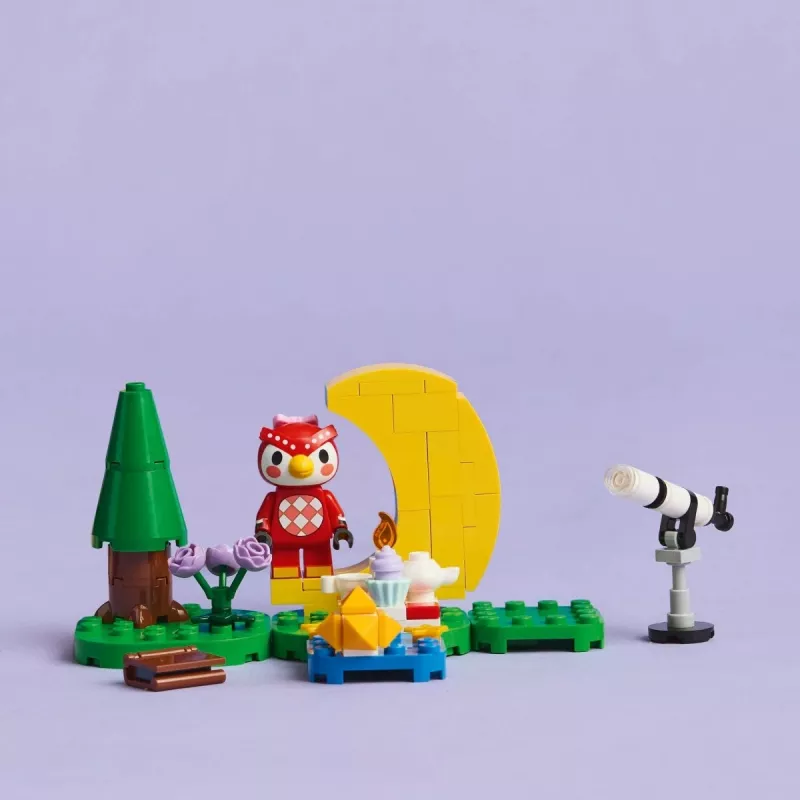 LEGO Animal Crossing Osservazione delle stelle con Eufemia Set 77053