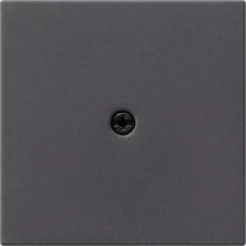 Placca a parete/copri interruttore GIRA 027428 antracite (027428)