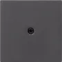 Placca a parete/copri interruttore GIRA 027428 antracite (027428)