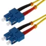 Cavo in fibra ottica Helos 1 m OS2 SC/SC