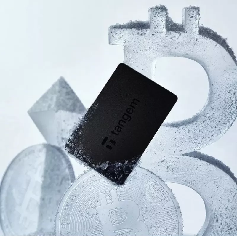 Tangem Wallet portafoglio per criptovalute - 2 carte