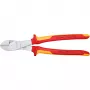 Knipex 74 06 250 prodotto