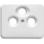 Busch Jaeger 1724-0-1911 placca a parete/placca interruttore bianco (1724-0-1911)