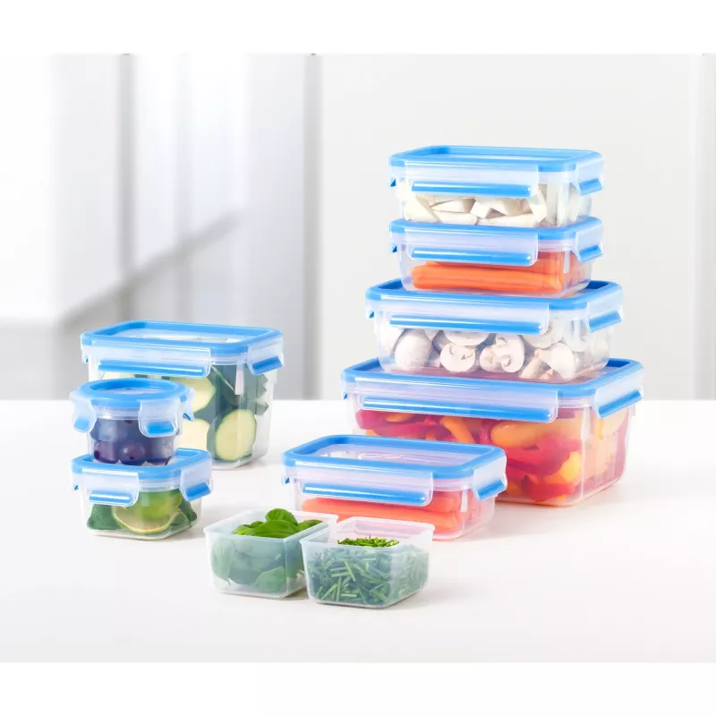 EMSA 508537 Contenitore per alimenti scatola rettangolare 1,75 L blu, trasparente 1 pz.
