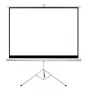 Schermo di proiezione Sponge Silelis 200x200 cm con treppiede, portatile quadrato formato 1:1
