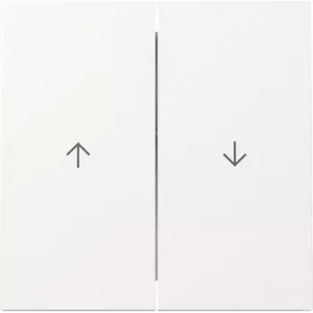 GIRA placca 329470 2f freccia FL RW (329470)