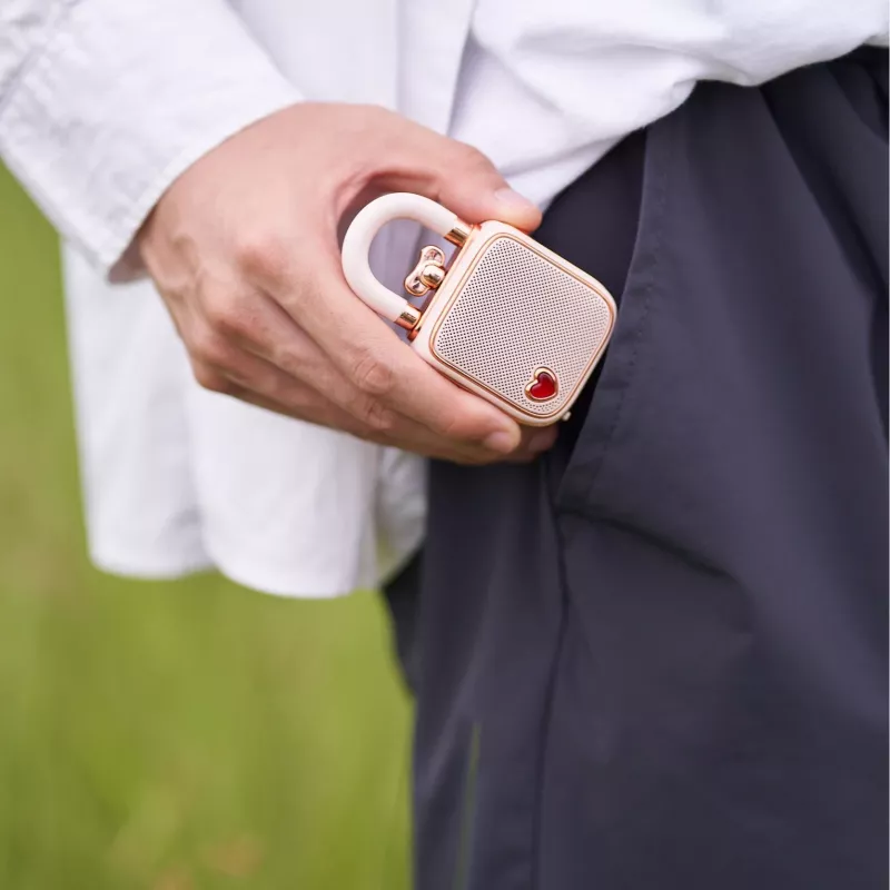 Altoparlante mono portatile Divoom LoveLock rosa