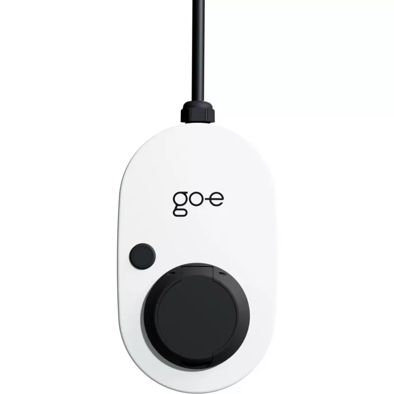 Go-e CH-04-11-51 adattatore di rete bianco
