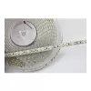 Synergy 21 Striscia LED Flex 3528 - 120 KW DC24V 48W IP68