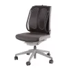 Fellowes Supporto lombare per sedia da ufficio - Office Suites supporto lombare in rete Mesh - A51,28 x L43,97 x P14,13 cm