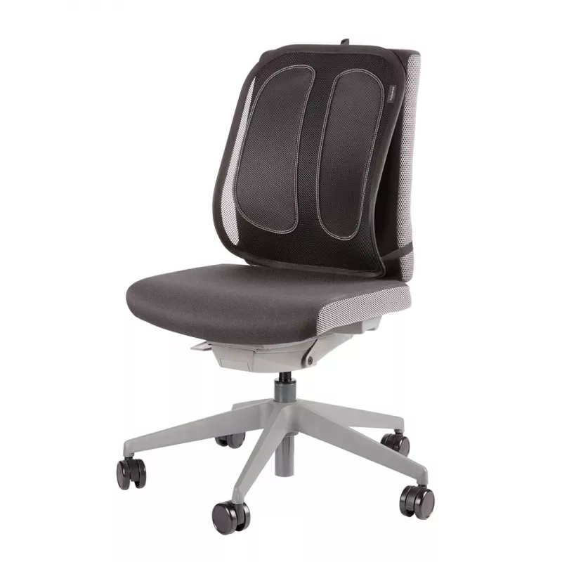 Fellowes Supporto lombare per sedia da ufficio - Office Suites supporto lombare in rete Mesh - A51,28 x L43,97 x P14,13 cm
