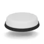 Antenna WiFi 5G Panorama Ultra Low Profile LPM2W-24-72-2RPSP