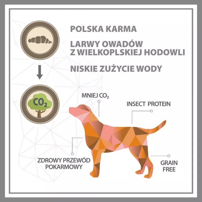 PUPIL Premium Insect - Umido per Cani - 400g