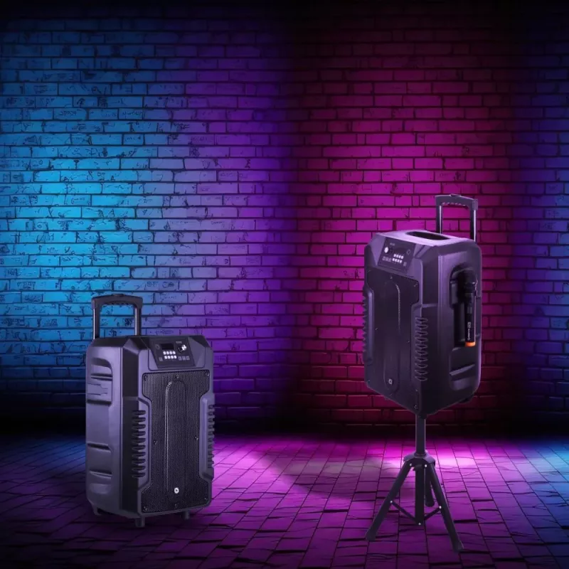 Altoparlante Manta SPK1203B100 100 W