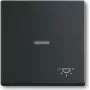 Busch Jaeger 1751-0-3045 interruttore luce nero plastica (1751-0-3045)
