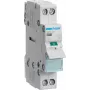 Interruttore di disconnessione SBM216 bipolare 16A con spia luminosa (SBM216)
